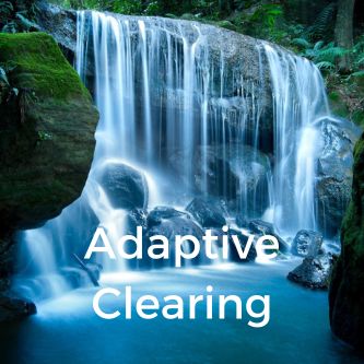Adaptive Clearing