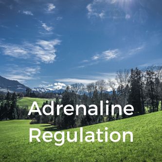 Adrenaline Regulation