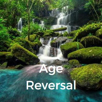 Age Reversal