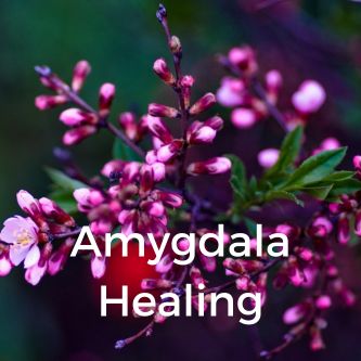 Amygdala Healing