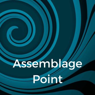 Assemblage Point