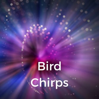 Bird Chirps
