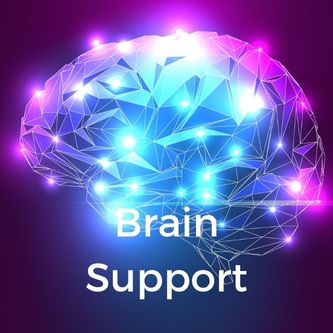 Brain Support