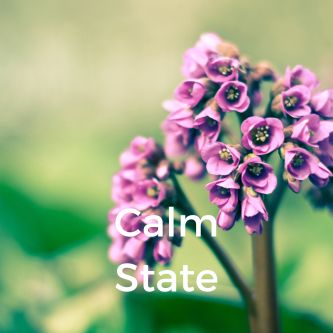 Calm State