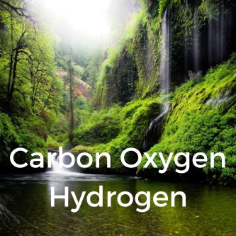 Carbon Oxygen Hydrogen