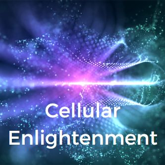 Cellular Enlightenment