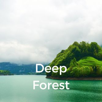 Deep Forest