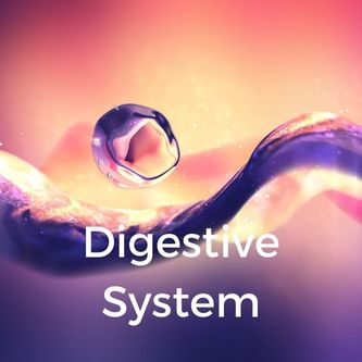 Digestive System