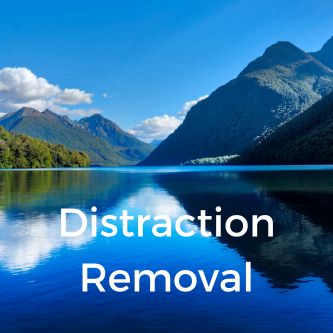 Distraction Removal