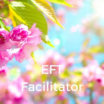 EFT Facilitator