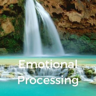 Emotional Processing