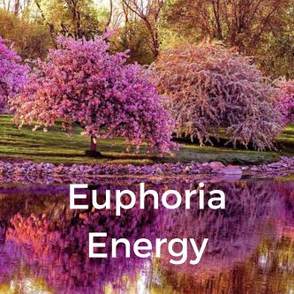Euphoria Energy