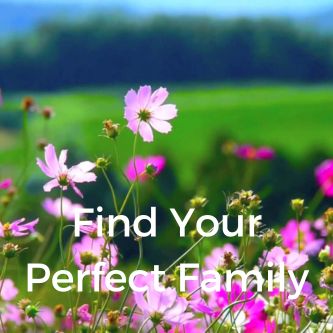 Find Your Perfect Family