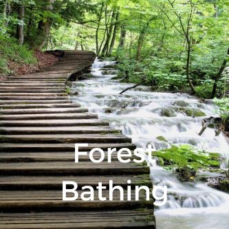 Forest Bathing
