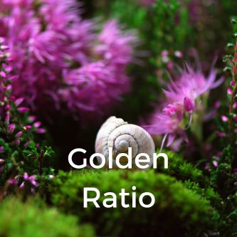 Golden Ratio