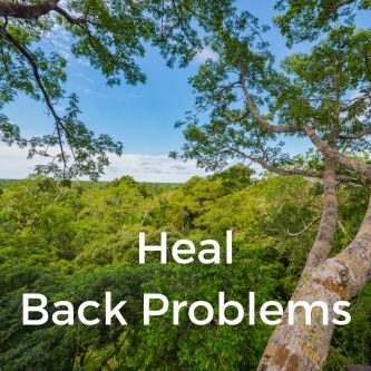 Heal Back Problems