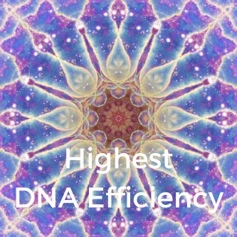 Highest DNA Efficiency