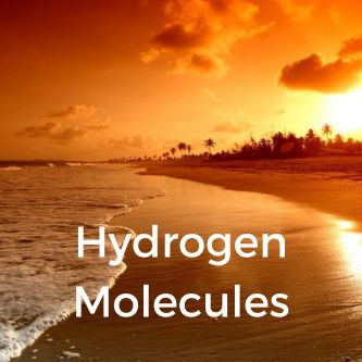Hydrogen Molecules