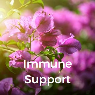 Immune Support