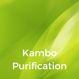 Kambo Purification