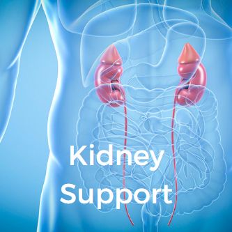 Kidney Support