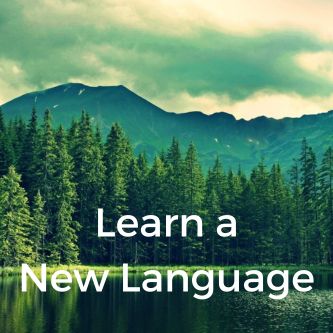 Learn a New Language