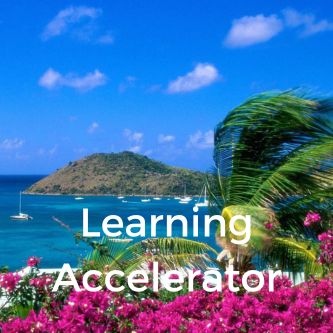 Learning Accelerator