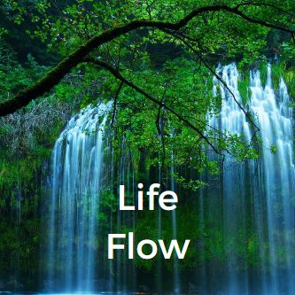 Life Flow