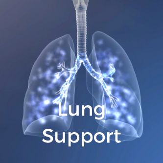 Lung Support