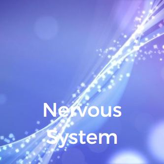 Nervous System