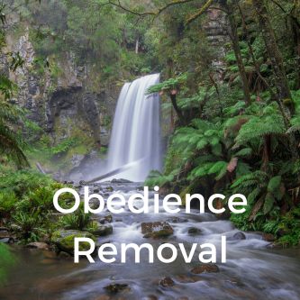 Obedience Removal