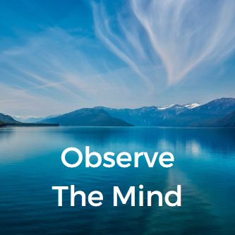 Observe The Mind