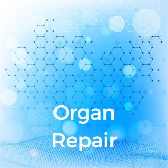 Organ Repair