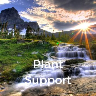 Plant Support