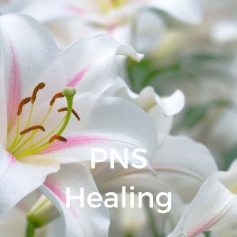 PNS Healing