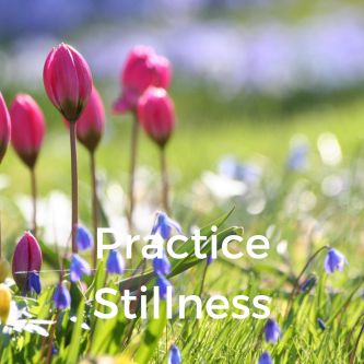 Practice Stillness