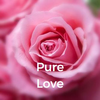 Pure Love