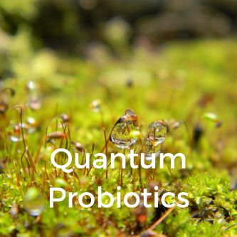 Quantum Probiotics