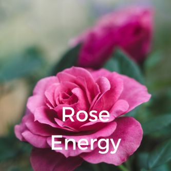 Rose Energy