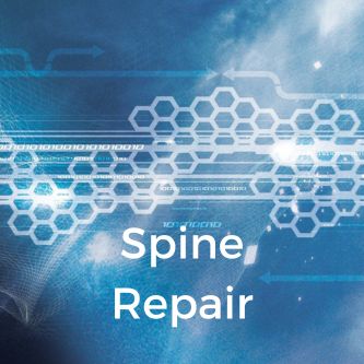 Spine Repair