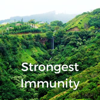 Strongest Immunity
