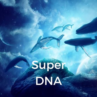 Super DNA