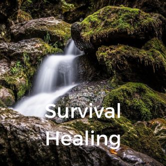 Survival Healing