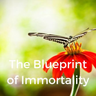 The Blueprint of Immortality