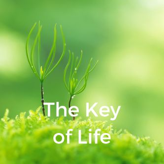 The Key of Life