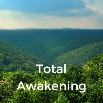 Total Awakening