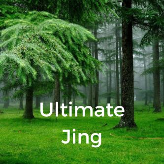 Ultimate Jing