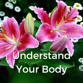 Understand Your Body