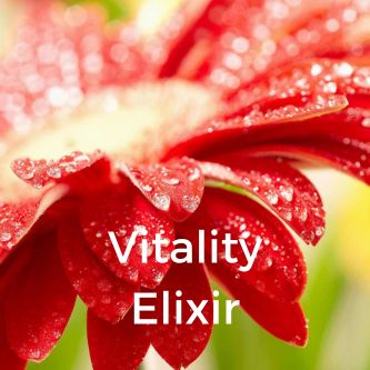 Vitality Elixir
