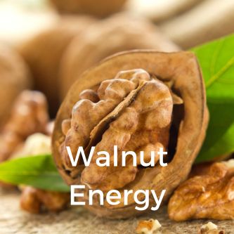 Walnut Energy